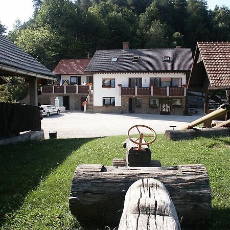 Pri Lazarju Farm Stay Podgrad  Exteriér fotografie