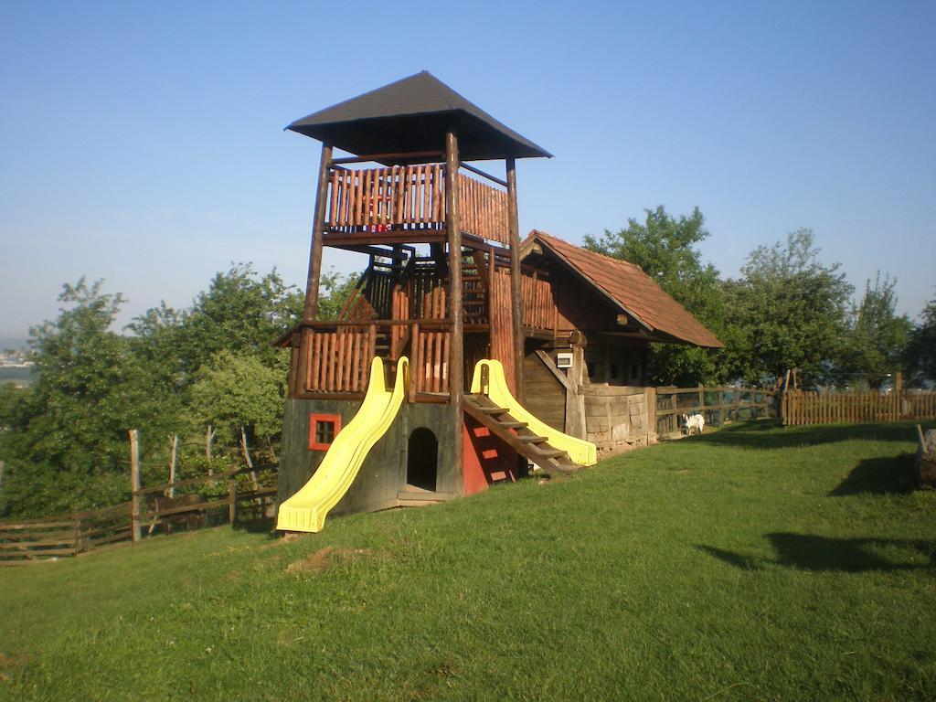Pri Lazarju Farm Stay Podgrad  Exteriér fotografie