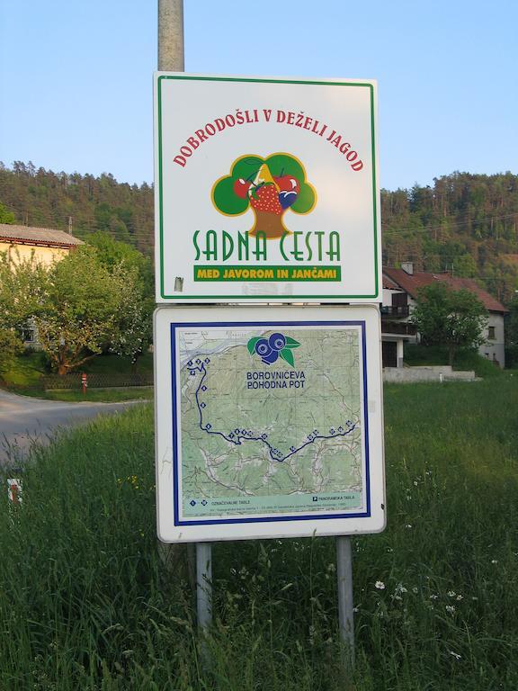 Pri Lazarju Farm Stay Podgrad  Exteriér fotografie