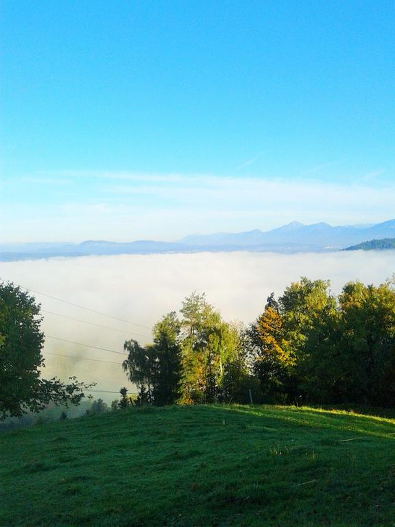 Pri Lazarju Farm Stay Podgrad  Exteriér fotografie