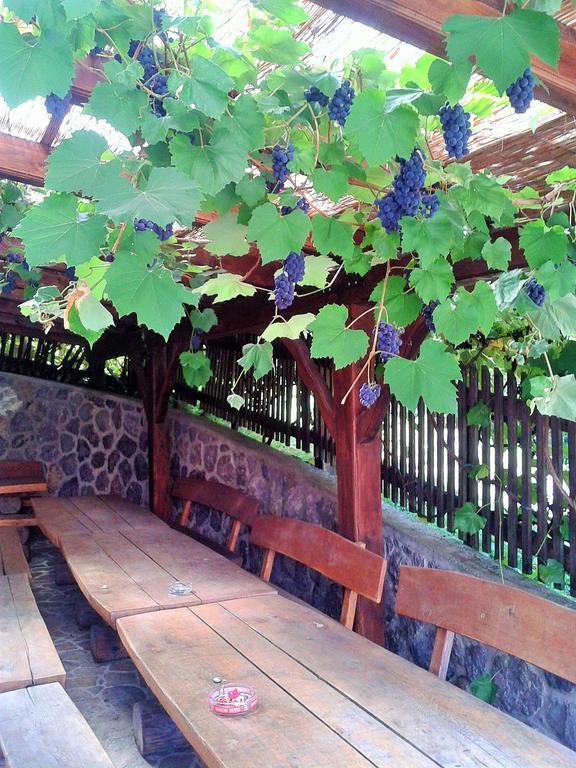Pri Lazarju Farm Stay Podgrad  Exteriér fotografie